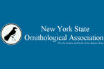 NYS Ornithological Association