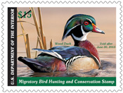 Duck Stamp