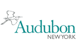 Audubon New York