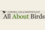 Cornell Lab - All About Birds